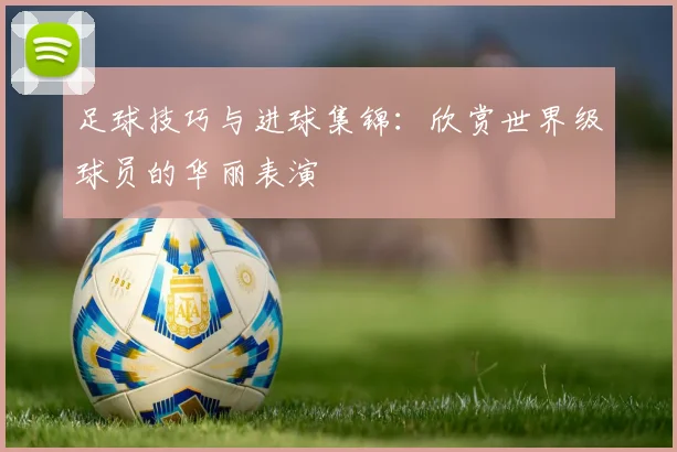 足球技巧与进球集锦:欣赏世界级球员的华丽表演