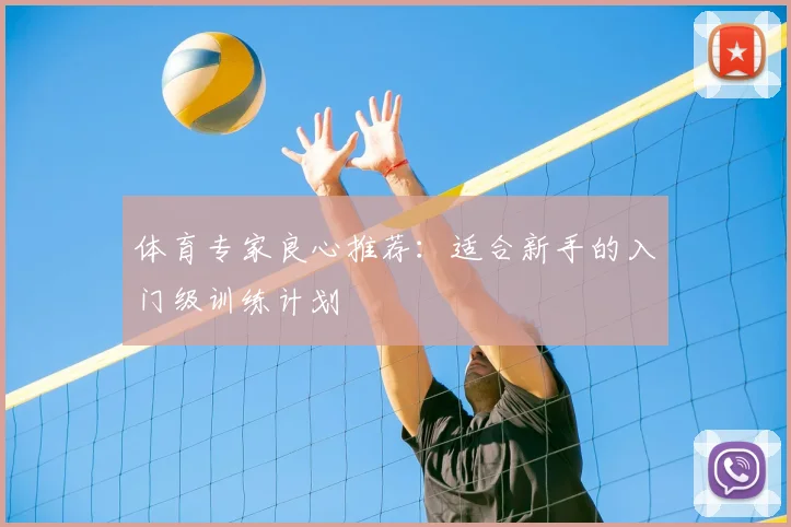 体育专家良心推荐:适合新手的入门级训练计划